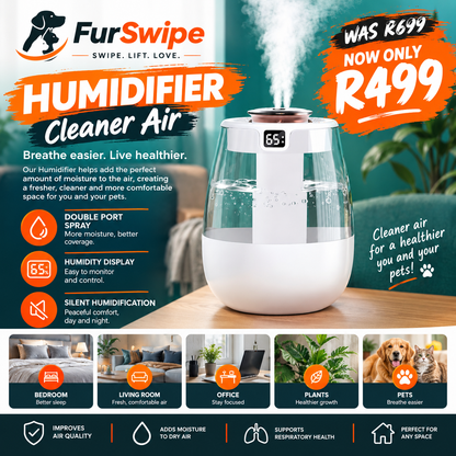 Portable Dual-Spray Humidifier